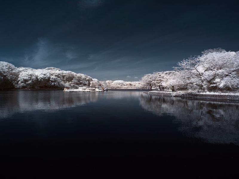 Featured image of post 瞎折腾